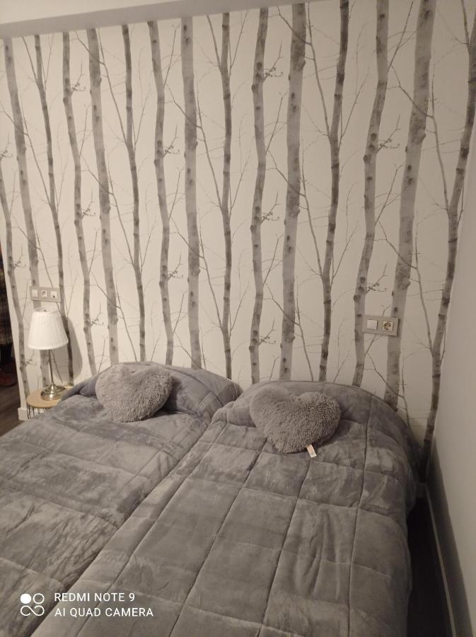 Apartament Zapaterias León Zewnętrze zdjęcie